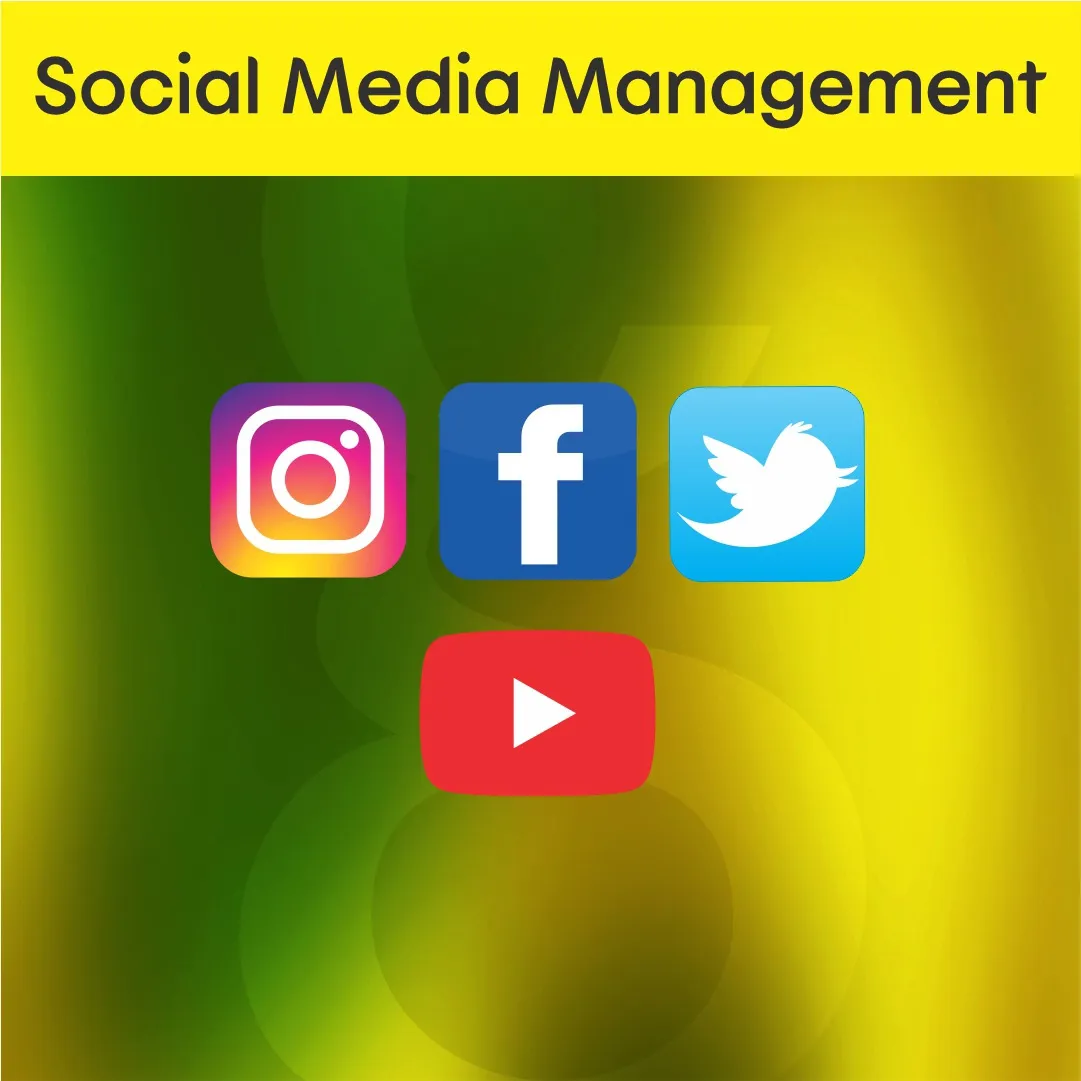 Colorsgrid Social Media Management